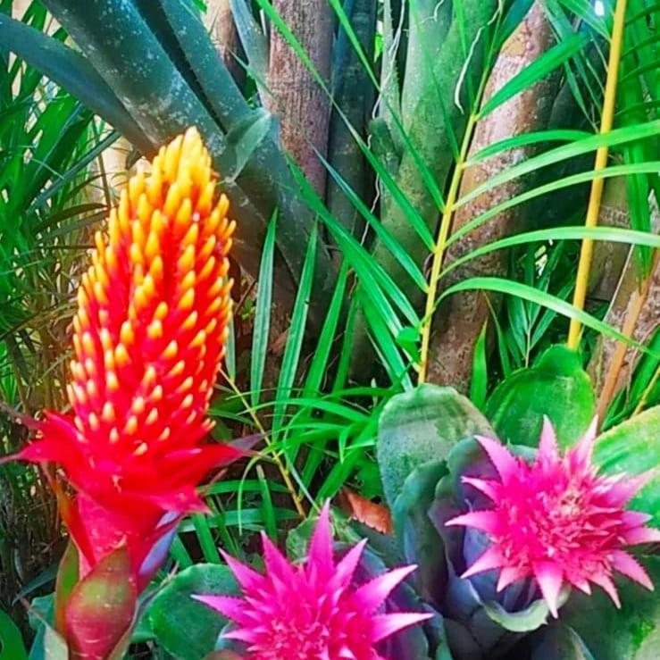 Sitio Pousada Morada Do Sol Cunha Ngoại thất bức ảnh